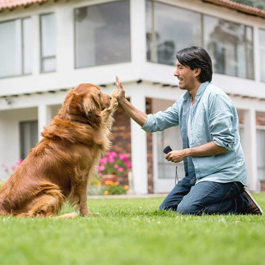 Hond Afschrikmiddel | Krachtig Ultrasoon Trainings- en Anti-Blaas Gereedschap