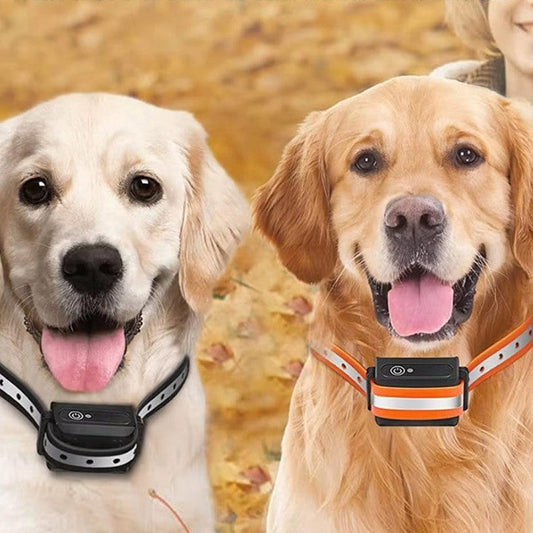 Hondentrainingsband met 1000m Bereik, 3 Modi, Oplaadbaar en IP67 Waterdicht voor Honden