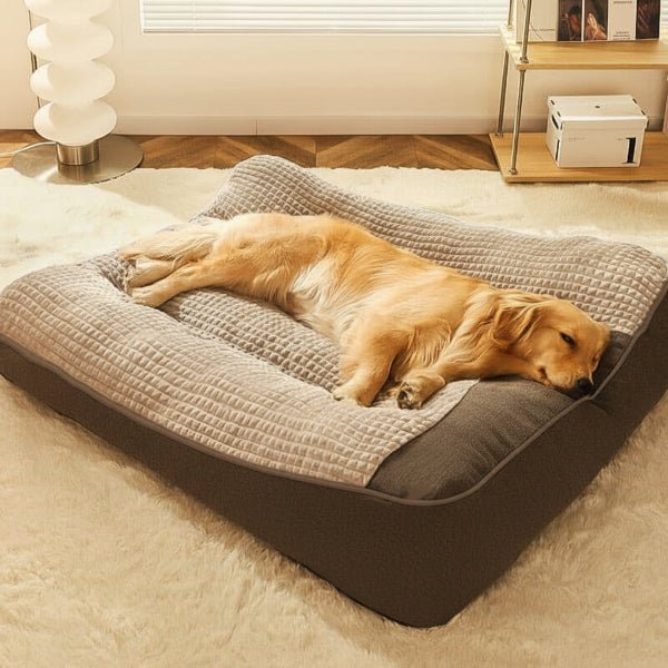 HUGBED – Groot krasbestendig hondenbed met orthopedische rugsteun