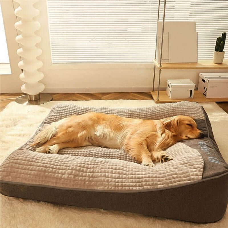 HUGBED – Groot krasbestendig hondenbed met orthopedische rugsteun