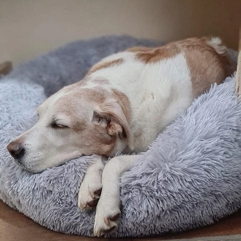 Kalmerend Bed voor Honden en Katten met Verhoogde Randen