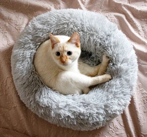 Kalmerend Bed voor Honden en Katten met Verhoogde Randen