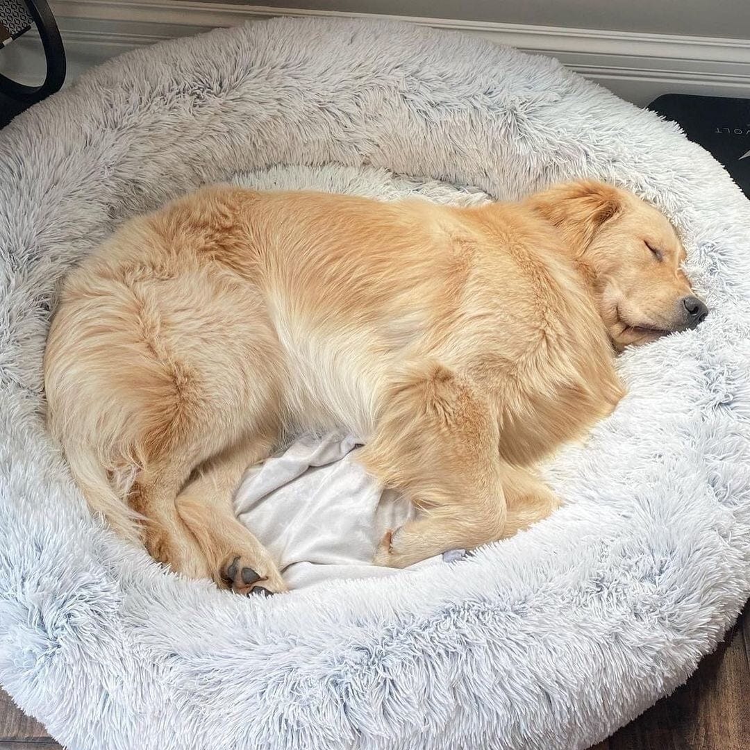 Kalmerend Bed voor Honden en Katten met Verhoogde Randen
