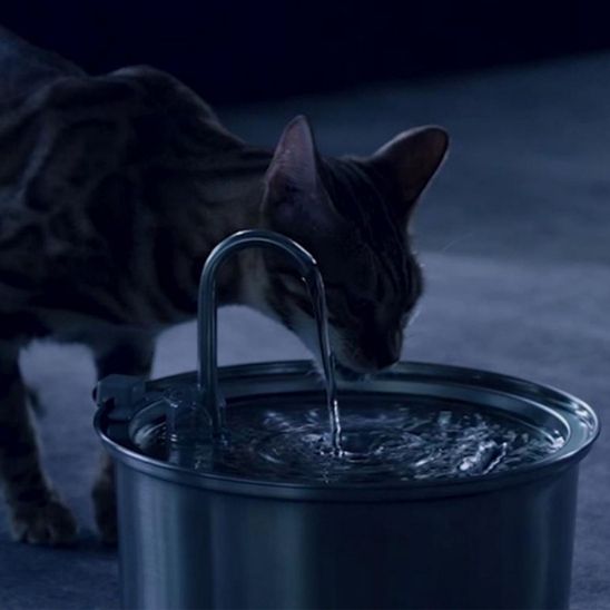 Kat Waterfontein | FRESH WATER