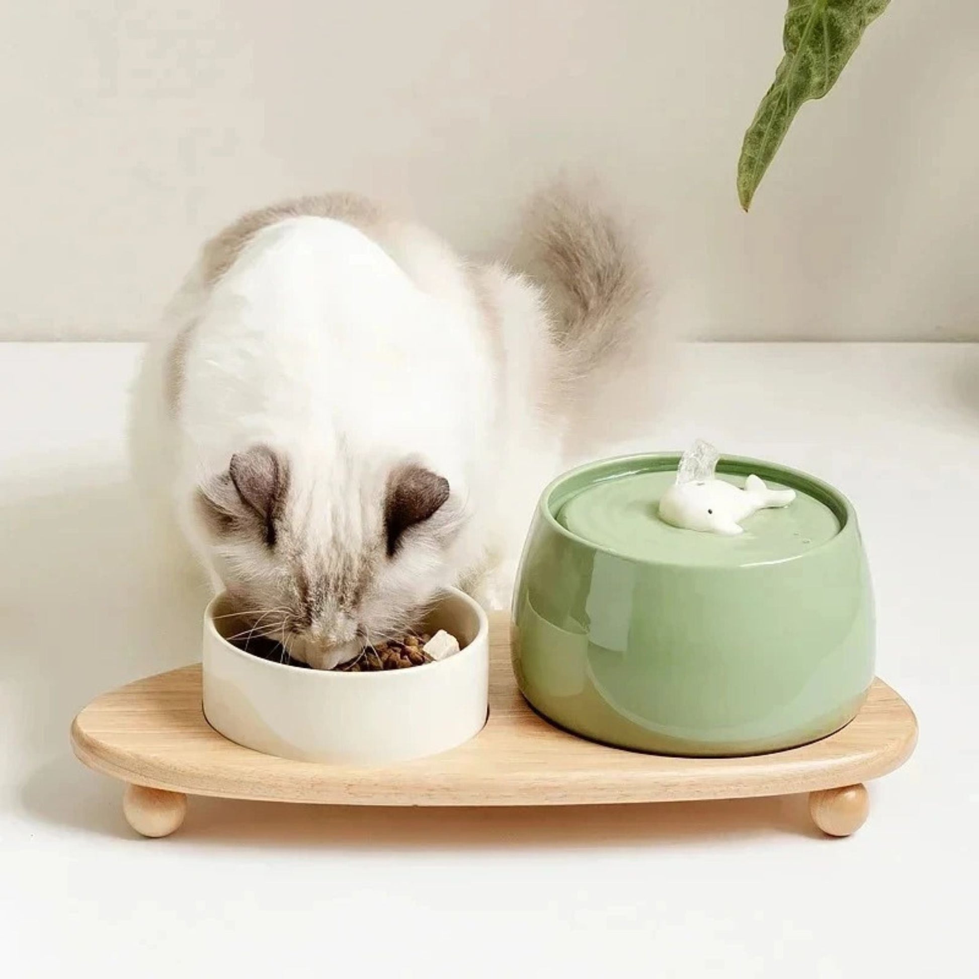 KERAMISCH WATERFONTIJN VOOR KATTEN | AquaCeramic