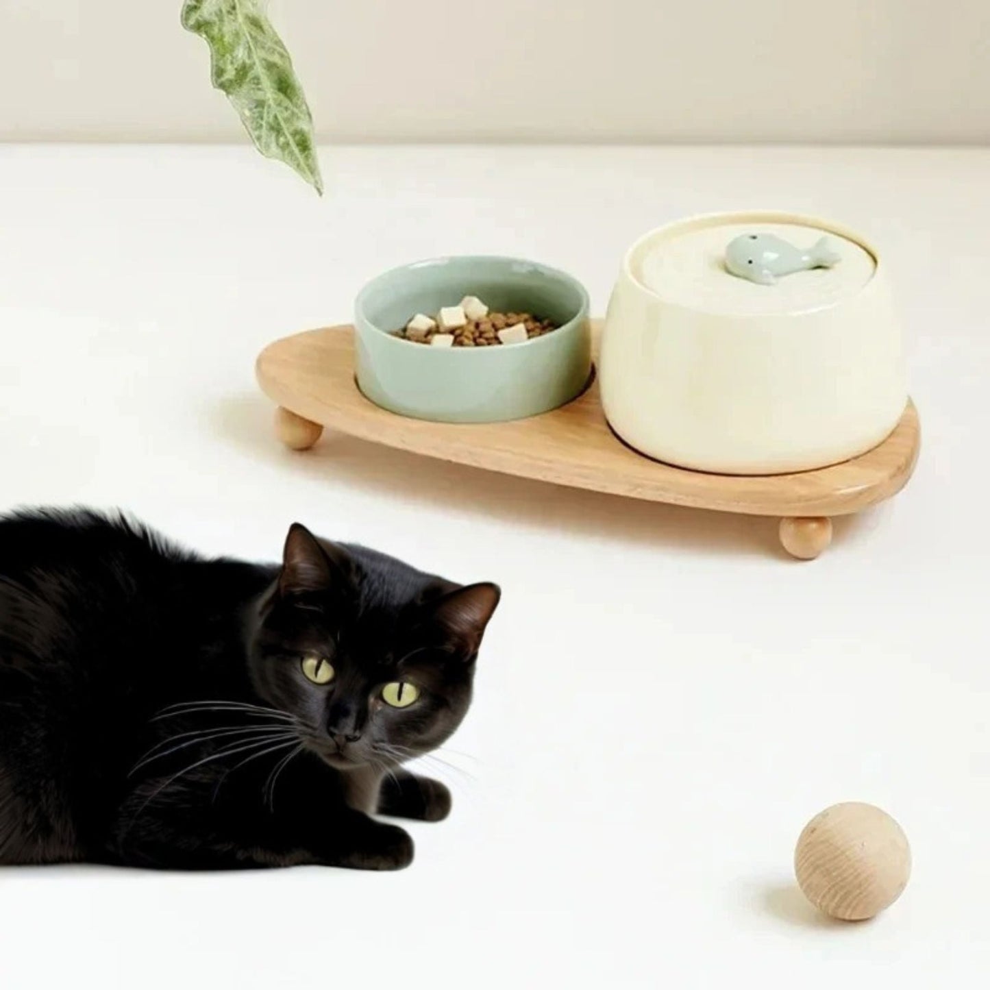 KERAMISCH WATERFONTIJN VOOR KATTEN | AquaCeramic