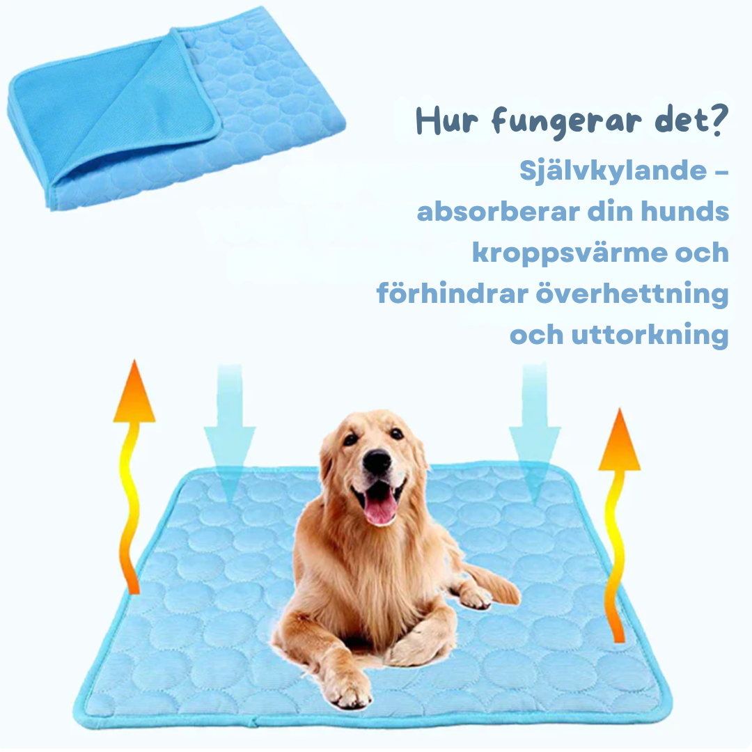 Koelmat