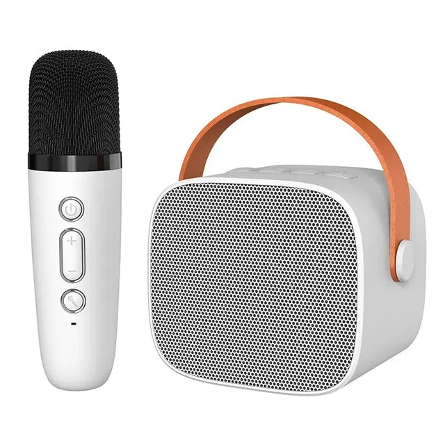 Luxe Karaoke Apparatuur voor Thuisconcerten