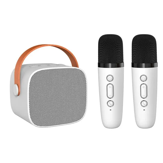 Luxe Karaoke Apparatuur voor Thuisconcerten