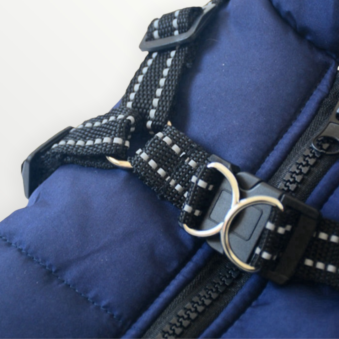PawShield™ – De 3-in-1 Hondenjas
