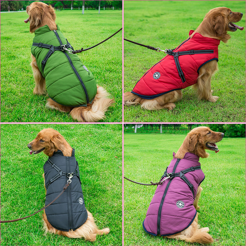 PawShield™ – De 3-in-1 Hondenjas