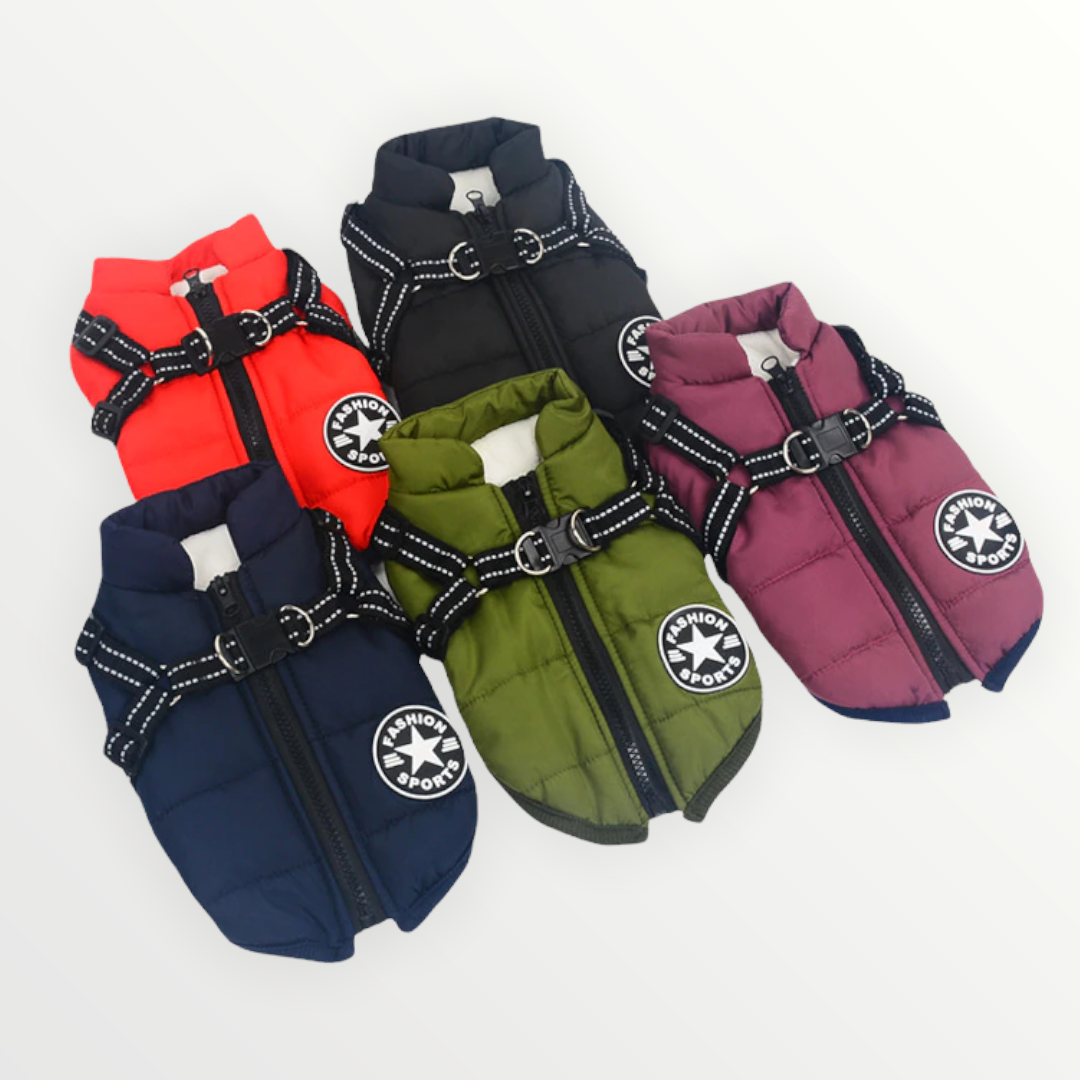 PawShield™ – De 3-in-1 Hondenjas