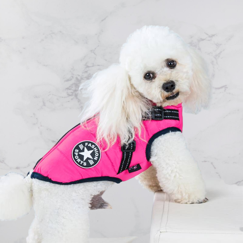 PawShield™ – De 3-in-1 Hondenjas