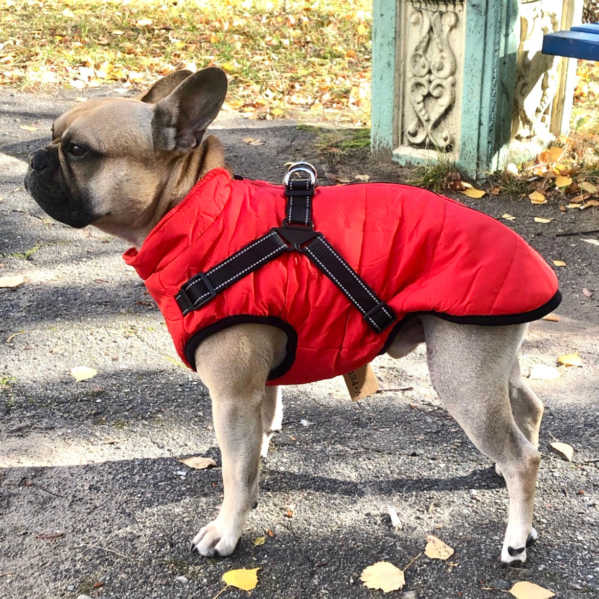 PawShield™ – De 3-in-1 Hondenjas