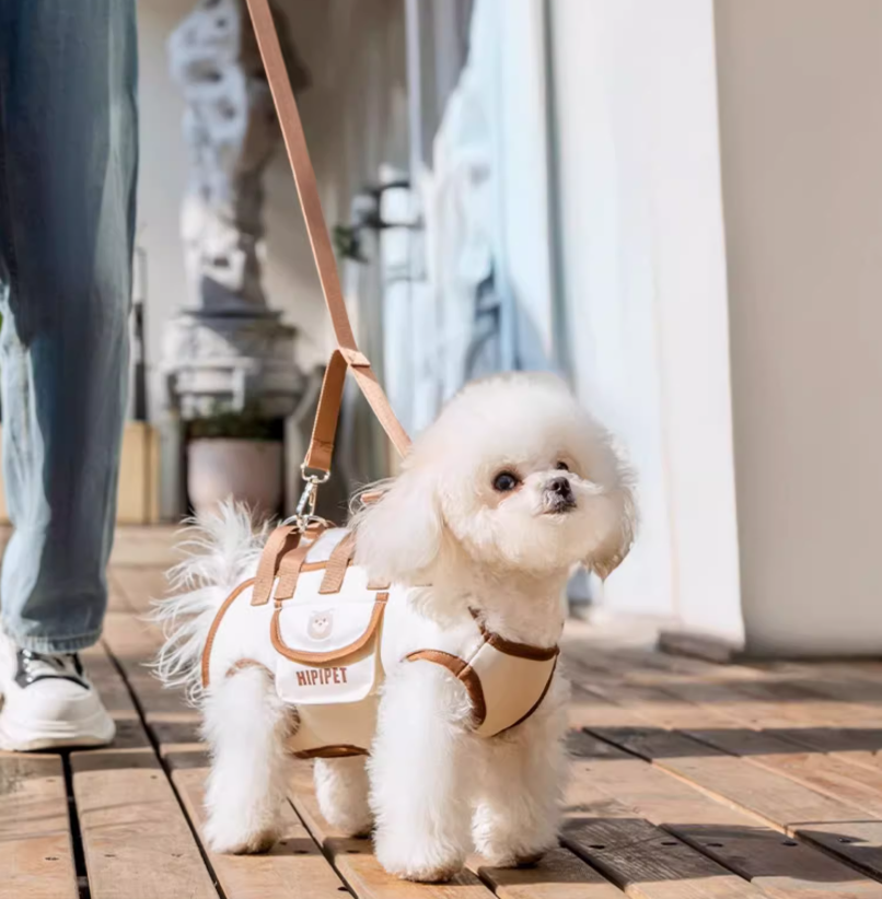 SpineCare Huisdierdrager™ — Beëindig de Pijn van je Hond met Zachte, Ondersteunende Comfort Overal waar je Gaat