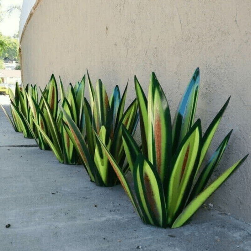 Stijlvolle Decoratieve Agave Lamp Benadrukt de Natuurlijke Schoonheid van de Ruimte