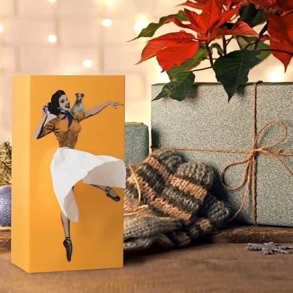 TISSUDANCE – Speelse Rock Tissue Box voor Creatieve Thuisdecoratie