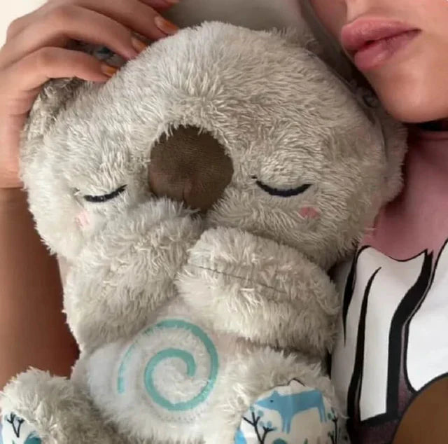 Trending Koala en Stitch met Rustgevende Ademhalingen en Muziek