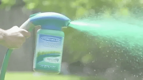 Vloeibaar Graszaad Hydro Mousse Spray | Eenvoudig Aan te Brengen voor Kale Plekken in het Gazon & Veelbetreden Zones